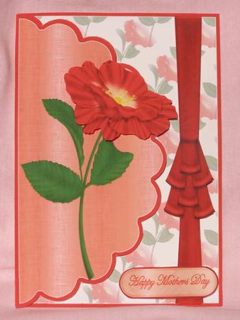 Stunning Red Flower by Susan Smith