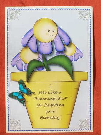 Blooming Idiot Belated Birthday Card Topper by Susan Smith