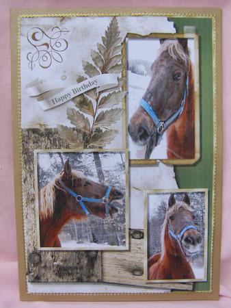 Horse Sense Card Topper by Susan Smith