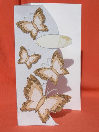 Butterflies Letter Fold Card 7 by Susan Smith