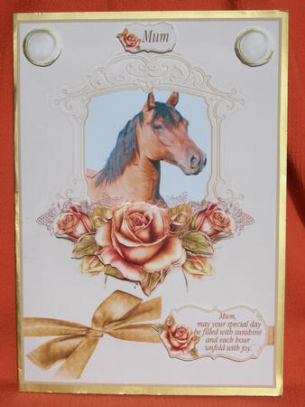 Horse and Roses by Susan Smith