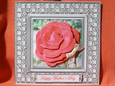 Single Pink/red Rose by Susan Smith