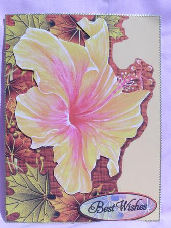 Hibiscus Greetings by Susan Smith