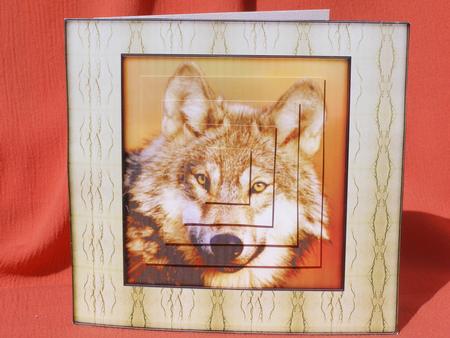 Wild Animals Series - Wolf by Susan Smith