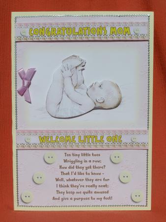 Ten Tiny Toes - Girl by Susan Smith