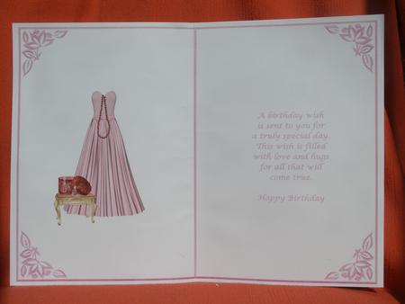 Pink Satin Dress Insert by Susan Smith