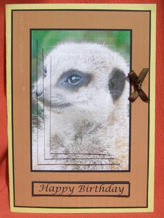 Meerkat Quick Card by Susan Smith