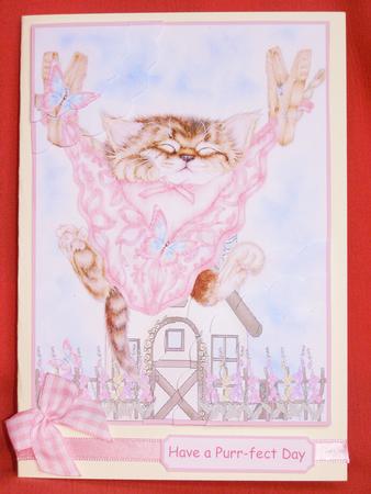 Kitty Knickers Corner Stacker by Susan Smith