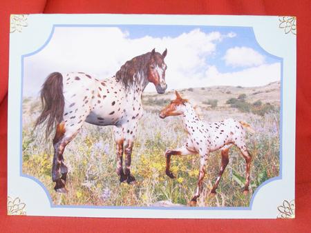 Apaloosa Horse & Foal Plaques by Susan Smith