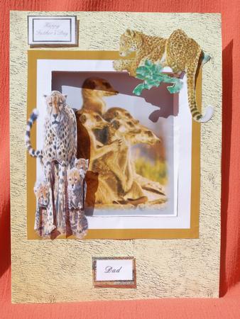 On Safari Aperture Card by Susan Smith