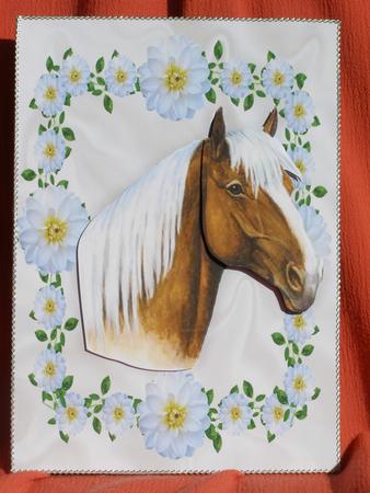 Horse in Pretty White Flower Frame by Susan Smith