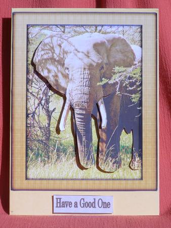 Wild Animal Series - Elephant - Decoupage by Susan Smith