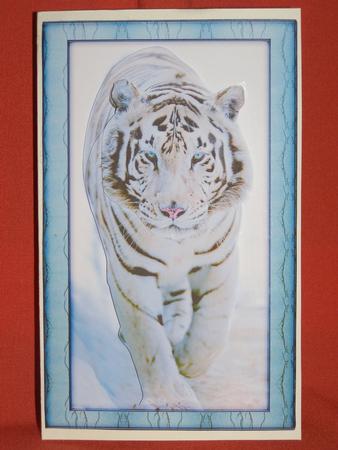 Wild Animal Series - White Tiger - Decoupage by Susan Smith