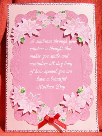 Camelia and Lace in Verse by Susan Smith