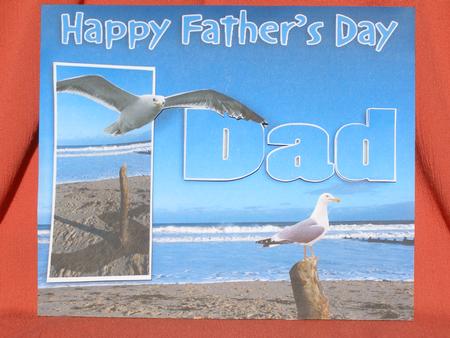 Sea View with Gulls Father's Day Card by Susan Smith
