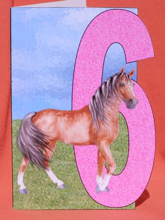 6 Years by Susan Smith