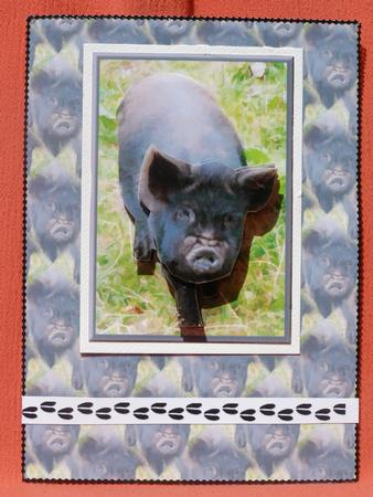 Pot Bellied Pig 3D Decoupage with Background by Susan Smith
