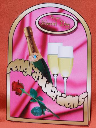 Champagne Cutaway by Susan Smith