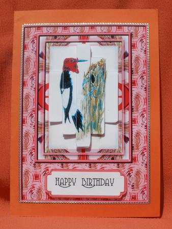 Woodpecker by Susan Smith