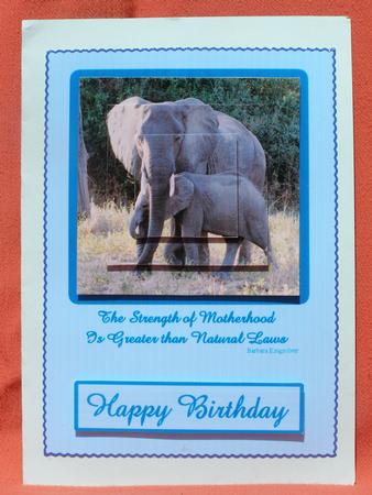 Mother Elephant & Calf Pyramid Card Front by Susan Smith