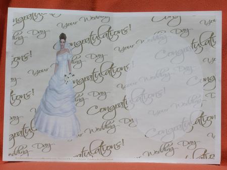 Elegant Bride Insert by Susan Smith