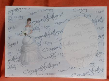 Elegant Bride Insert 2 by Susan Smith