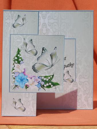 Fold Back Sympathy by Susan Smith