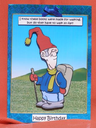 Harry Goes Hiking by Susan Smith