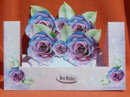 W Fold Card Purple Roses by Susan Smith