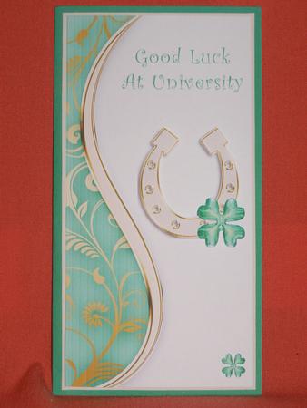 Good Luck at University Dl Card by Susan Smith