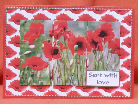 Poppies Galore by Susan Smith