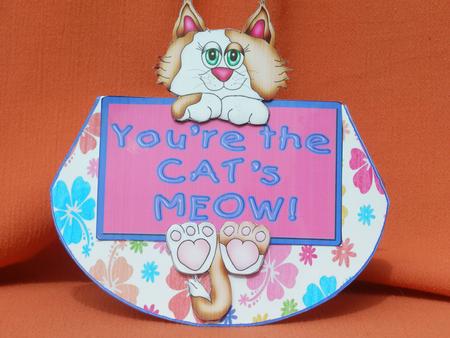 Notice Board Cat Wobble Card by Susan Smith