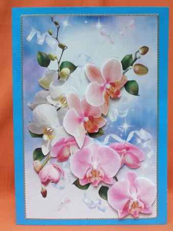 Orchids by Susan Smith