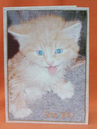 Wet Cat - Print & Fold by Susan Smith