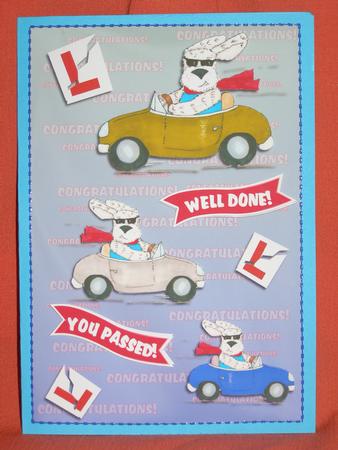 Broom Broom You Passed! by Susan Smith