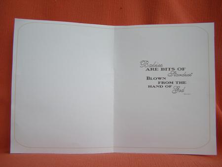 Bits of Stardust Baby Insert by Susan Smith