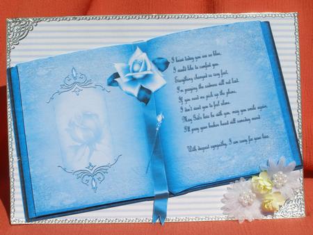 Blue Sympathy Book by Susan Smith