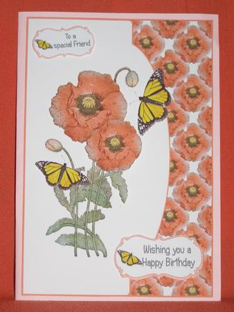 Poppies and Butterflies by Susan Smith