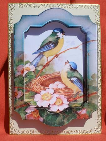 Birdsong Popout Frame Topper by Susan Smith