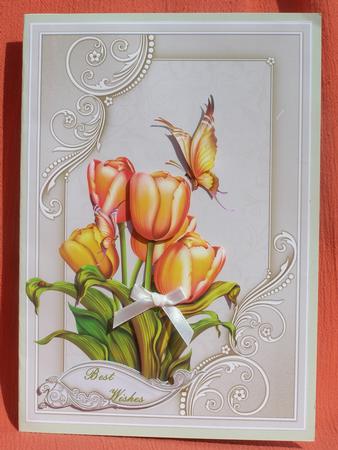 Tulips in a Frame Card Front by Susan Smith