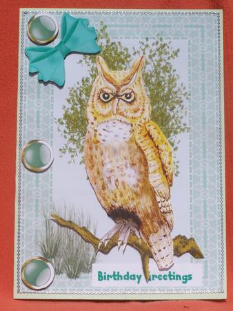 Beautiful A5, Owl by Susan Smith