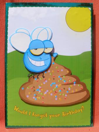 Birthday Fly by Susan Smith