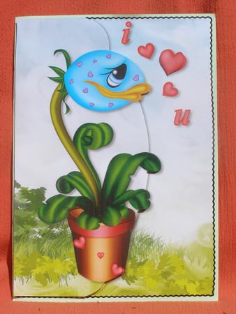 Love Plants by Susan Smith