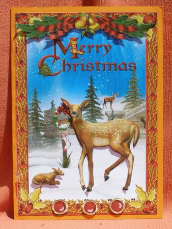 Beautiful A5 Christmas Deer by Susan Smith
