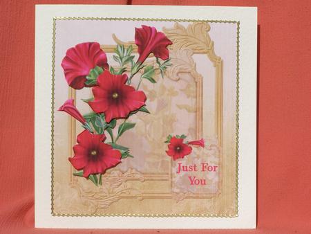 Deep Pink Petunias Just for You by Susan Smith