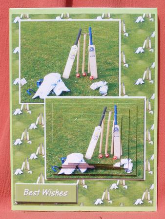 Cricket Card Front by Susan Smith