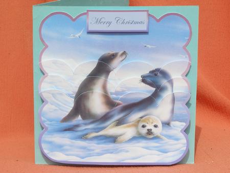 Snow Seals by Susan Smith