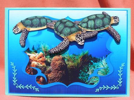 Ocean - Sea Turtles by Susan Smith