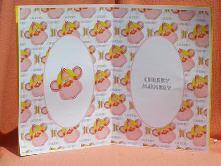 Cheeky Monkey Insert by Susan Smith