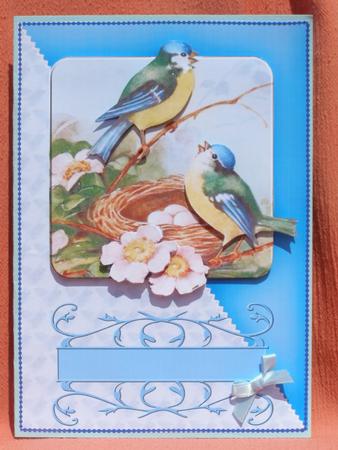 Birdsong Diagonal Card Topper by Susan Smith